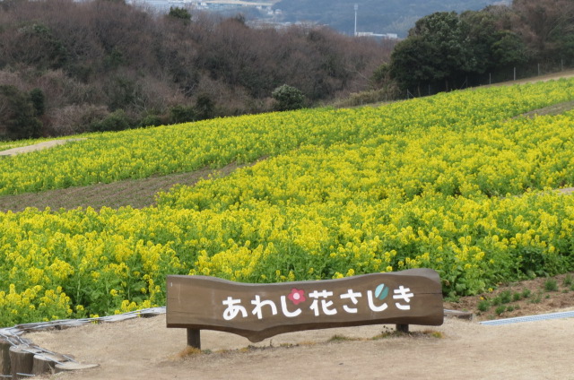 e0060041_949135.jpg
