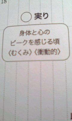 150305 睦月満月の日の過ごし方_f0164842_10535735.jpg