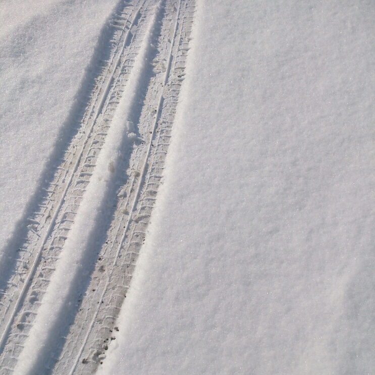c0311170_945962.jpg