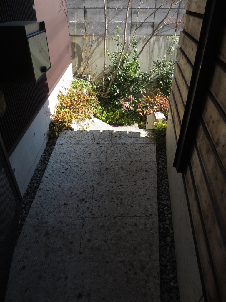 アセビ(馬酔木)の花_c0310571_06255105.jpg