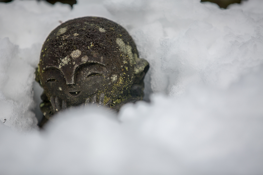 雪景色！　～圓光寺～_b0128581_2125850.jpg