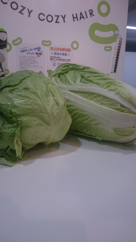 お野菜_f0172281_543766.jpg