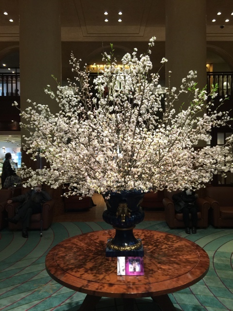 一足早く 京都ホテルオークラにて 桜のお花見 してきました 今夜の夕食 一足早く 京都ホテルオークラにて 桜のお花見 してきました 今夜の夕食