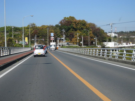 d0000995_9485139.jpg