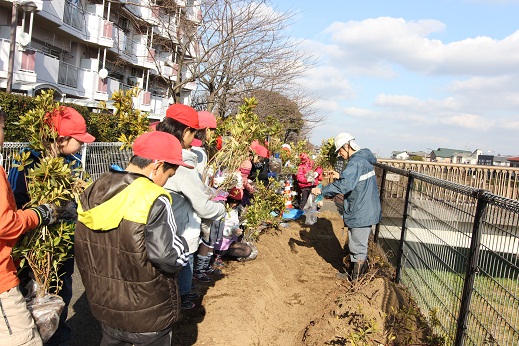 大垈小学校　植樹祭を行います！_a0258102_14493526.jpg