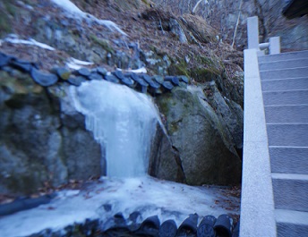 a0140305_218444.jpg