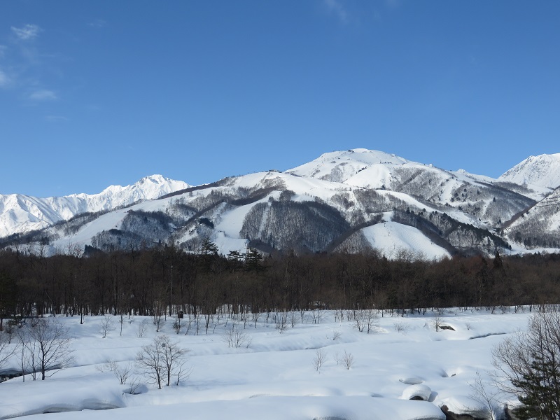 2014-2015シーズン、スキー滑走22日目_a0293308_5412049.jpg