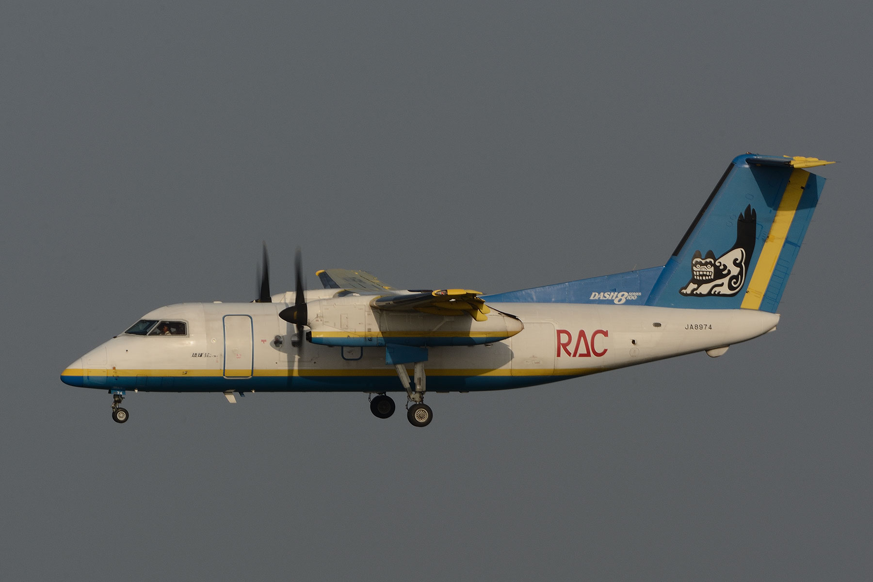 Bombardier DHC-8-Q100 Dash 8 / JA8974 : SKY LOUNGE GARDEN Bombardier DHC-8-Q100 Dash 8 / JA8974 : SKY LOUNGE GARDEN