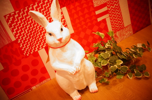 ☆RABBIT(らびっと)☆_a0143711_159419.jpg