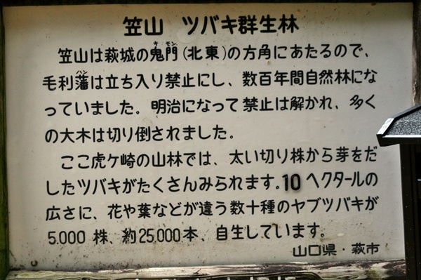 d0025414_216437.jpg