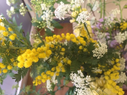 花粉症やほこりも拭き掃除でバイバイ♪♪_a0200423_10461151.jpg