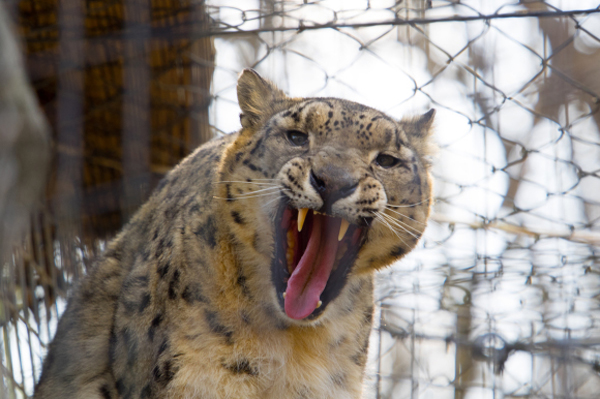 おすすめ動物園体験記＆週末のお出かけ記事に注目！_f0357923_152301.jpg