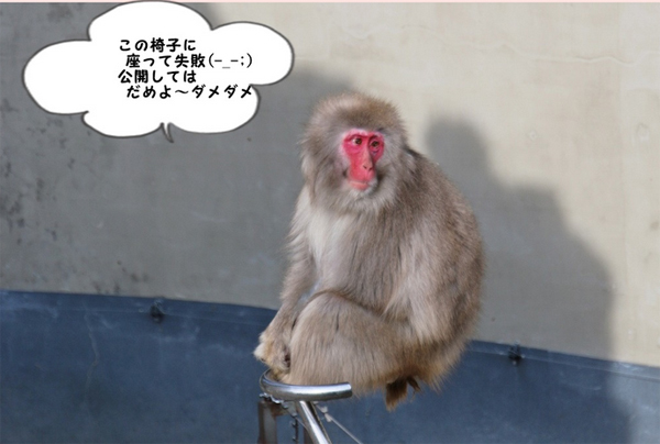 おすすめ動物園体験記&週末のお出かけ記事に注目!_f0357923_1552627.jpg