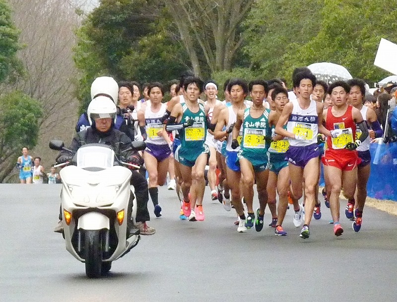 おにゃじ　“立川シティハーフマラソン ２０１５”　を走る　ｐａｒｔ２_b0166128_17525147.jpg