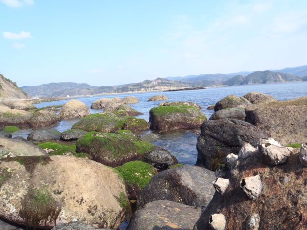 c0222430_985999.jpg