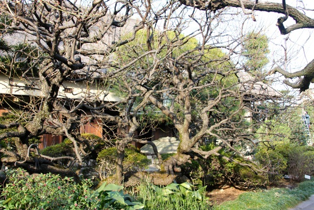 【世田谷代官屋敷】と『鹿港』_f0348831_12142565.jpg