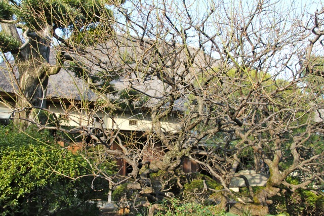 【世田谷代官屋敷】と『鹿港』_f0348831_12142992.jpg