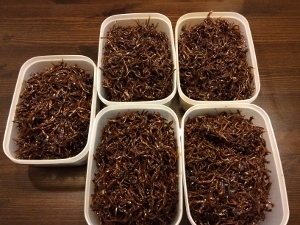 年中行事 いかなごの釘煮_a0059035_22315169.jpg