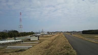 a0096557_17203.jpg