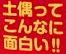 <2014年4月>諏訪探訪②:諏訪湖・茅野の縄文遺跡探訪レビュー_c0119160_8482060.jpg