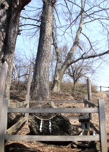 <2014年4月>諏訪探訪②:諏訪湖・茅野の縄文遺跡探訪レビュー_c0119160_9195280.jpg
