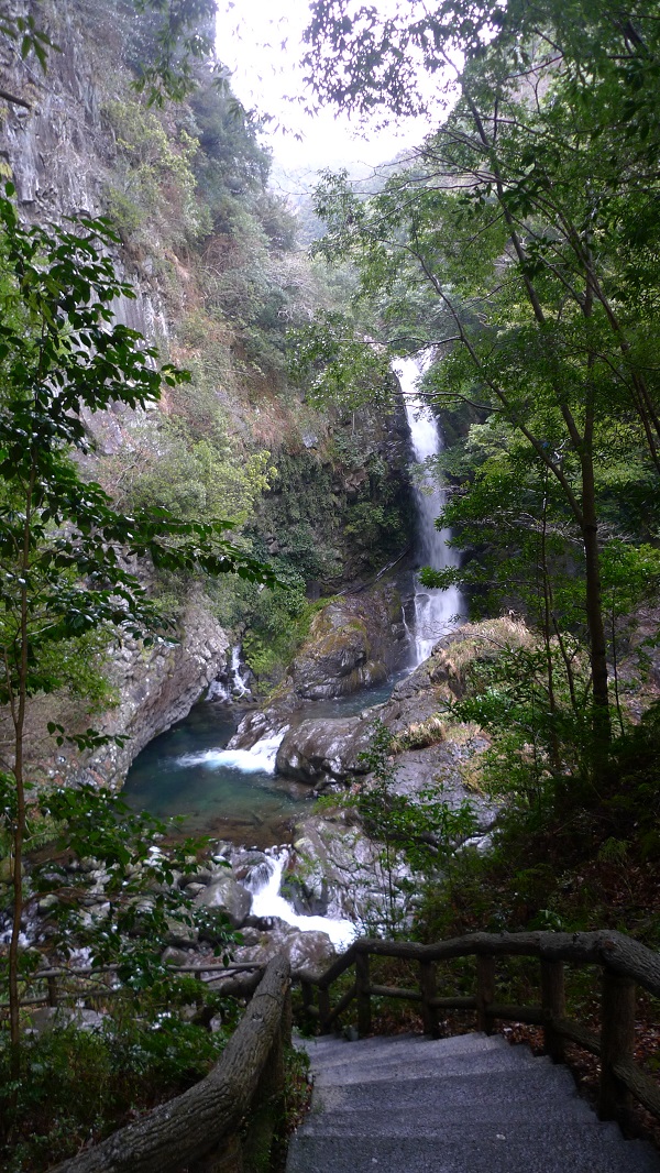d0193569_1420042.jpg