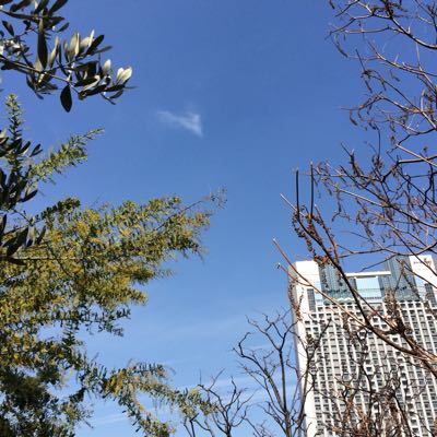 a0164280_1058464.jpg