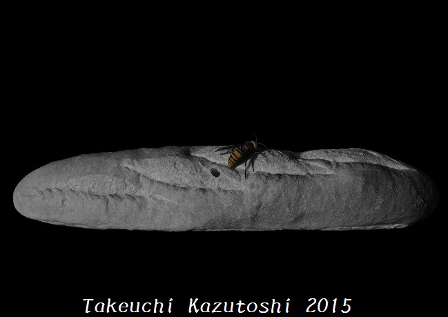 a hornet Ⅲ_e0290580_174692.jpg