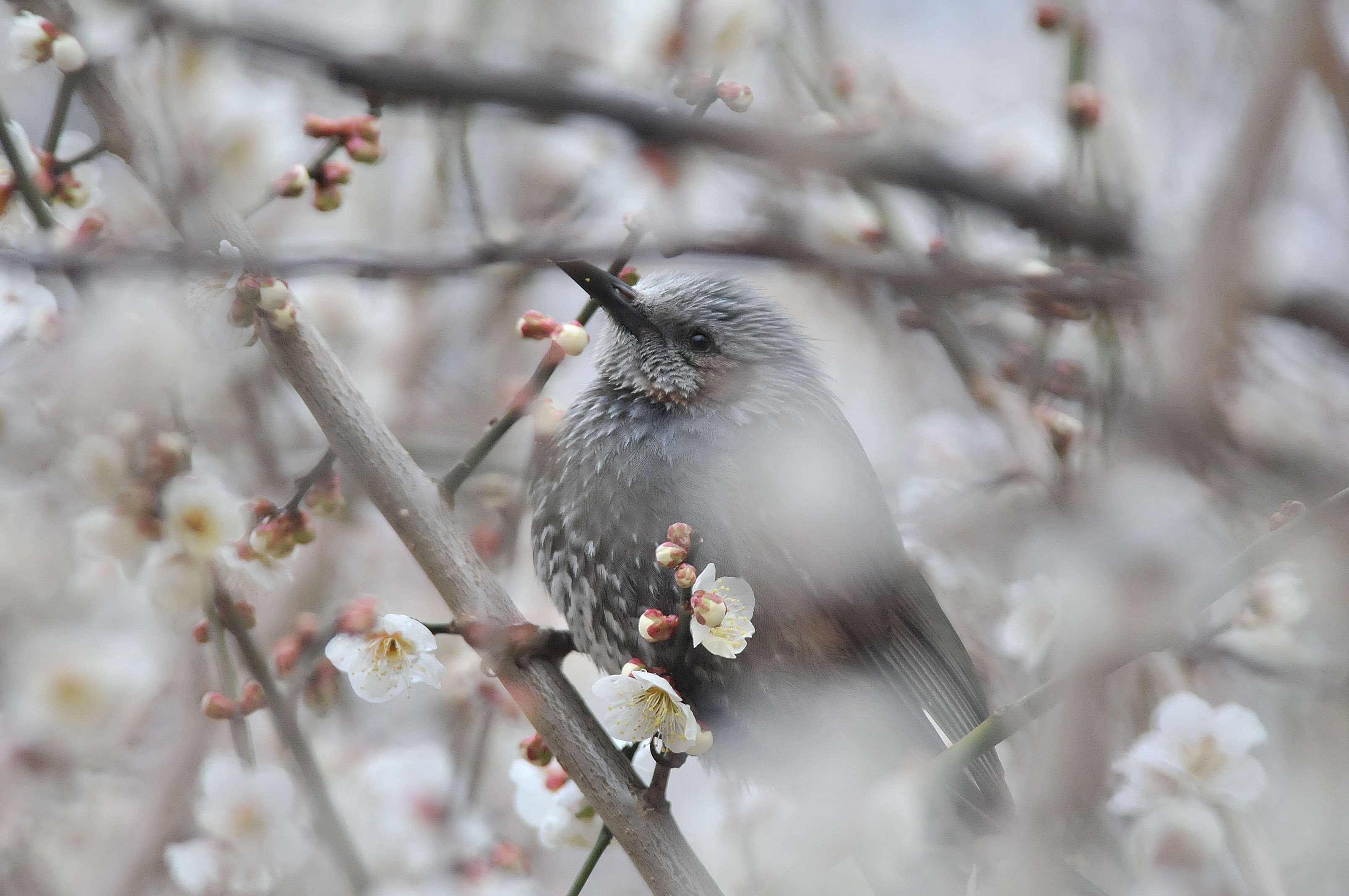 久し振りの公園_f0202686_19492490.jpg