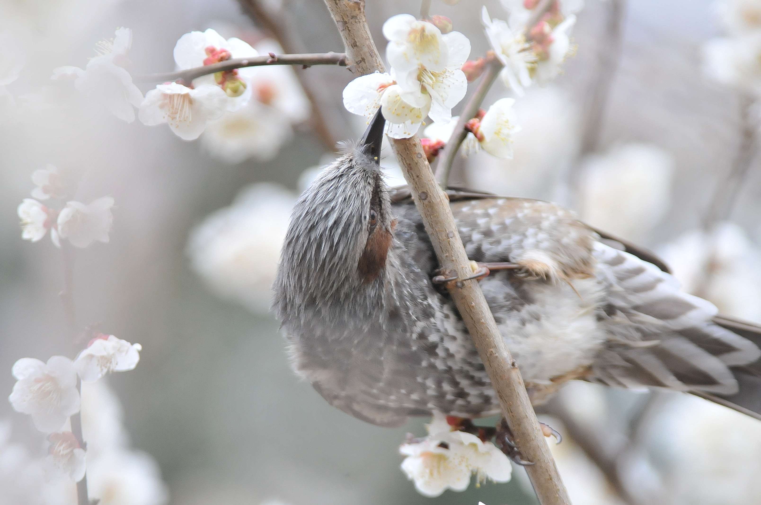 久し振りの公園_f0202686_19494177.jpg