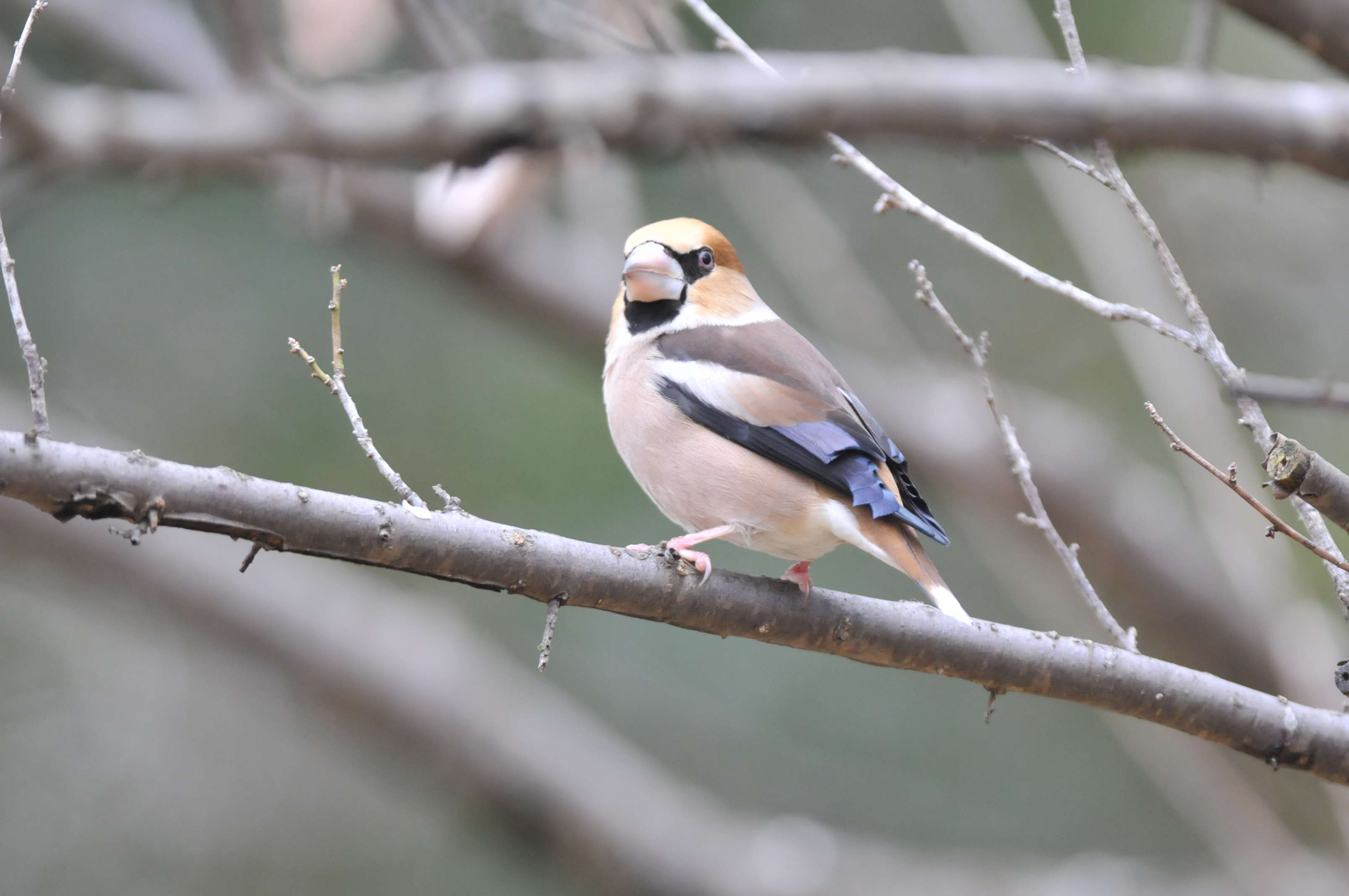 久し振りの公園_f0202686_194999.jpg