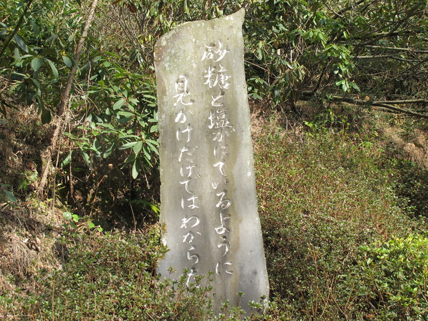 「花の長安寺」の屋山を登る　2015.3.5（木）_a0166196_14362110.jpg