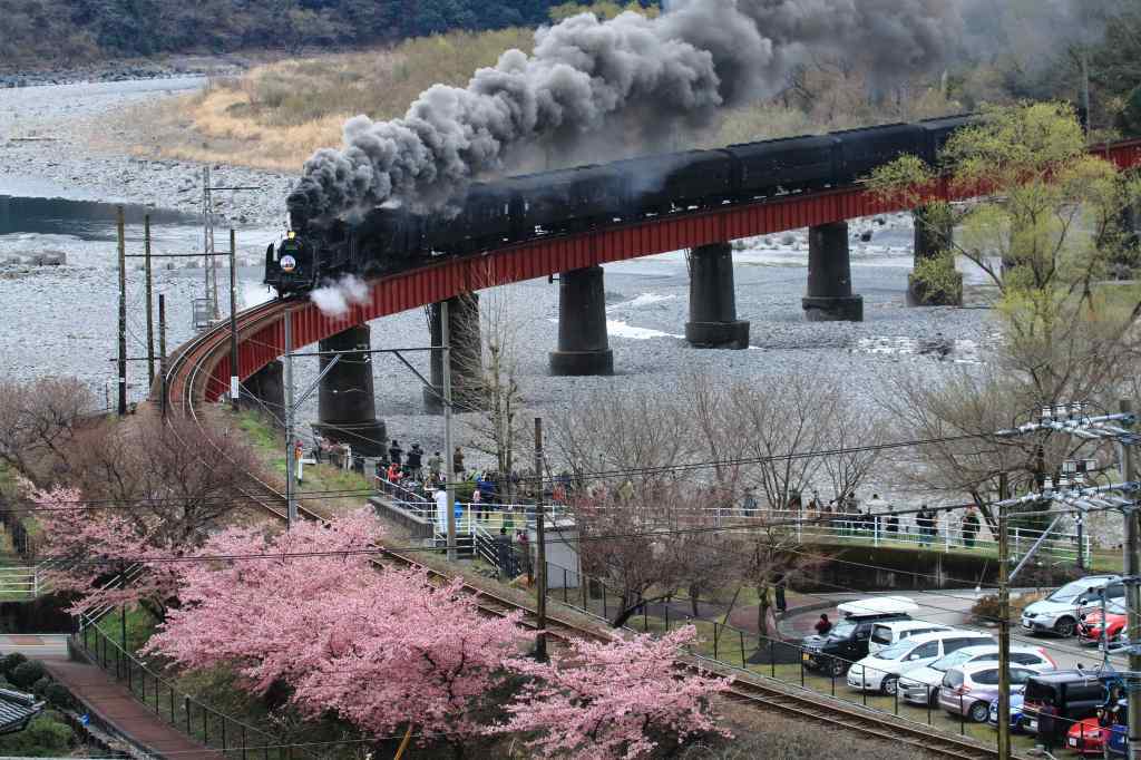 大井川鉄道のＳＬ重連運転_a0188405_23020219.jpg