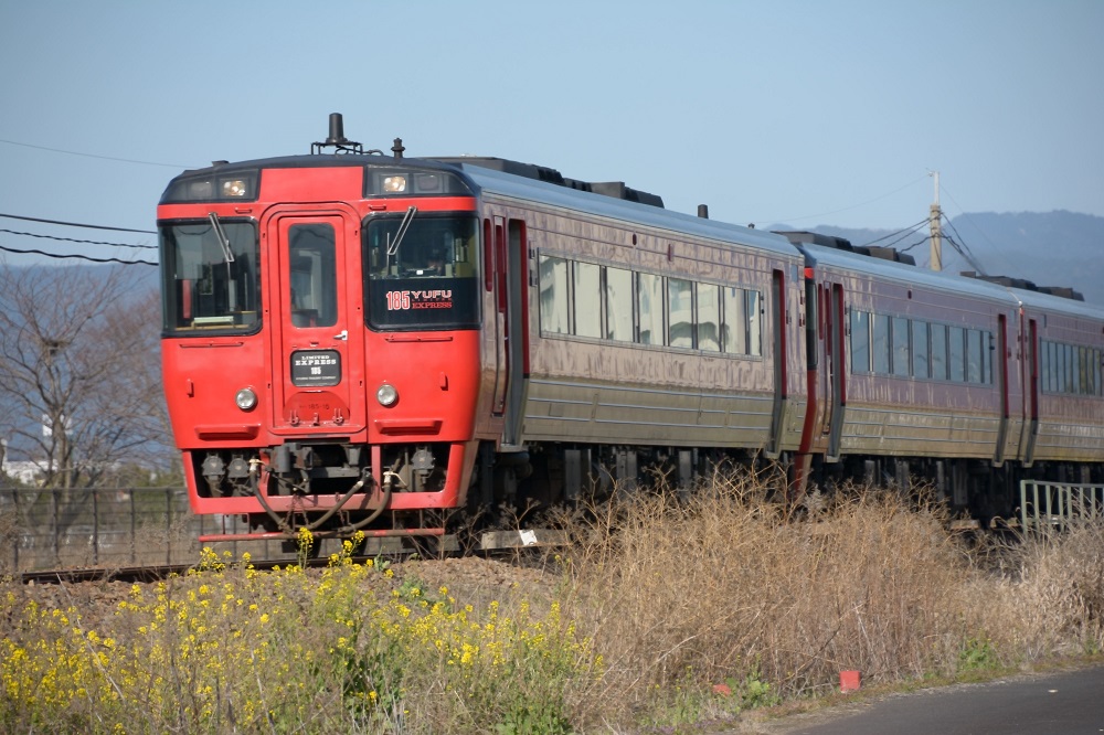 今日撮った色々なものシリーズ！_b0277008_1917842.jpg