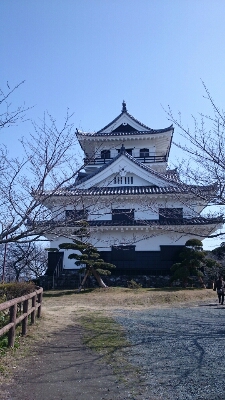 館山城と苺狩り_f0235708_22425236.jpg