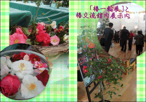 f0231709_1833292.gif