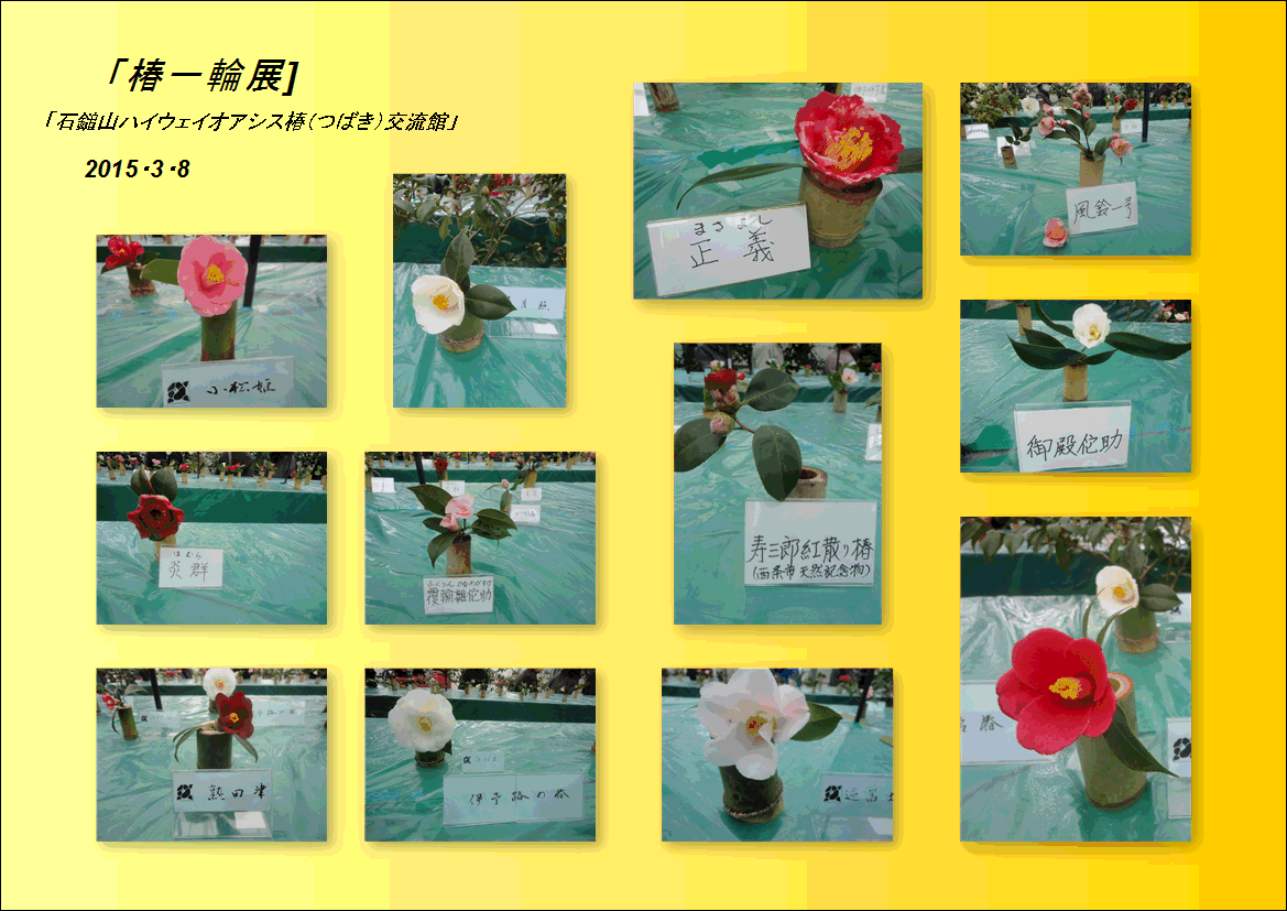 f0231709_21221811.gif