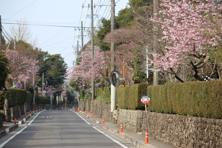 759　　今日一日いろいろありました。_a0281511_1948018.jpg