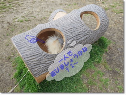 b0167519_124121100.gif