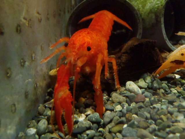 b0284820_21134534.jpg
