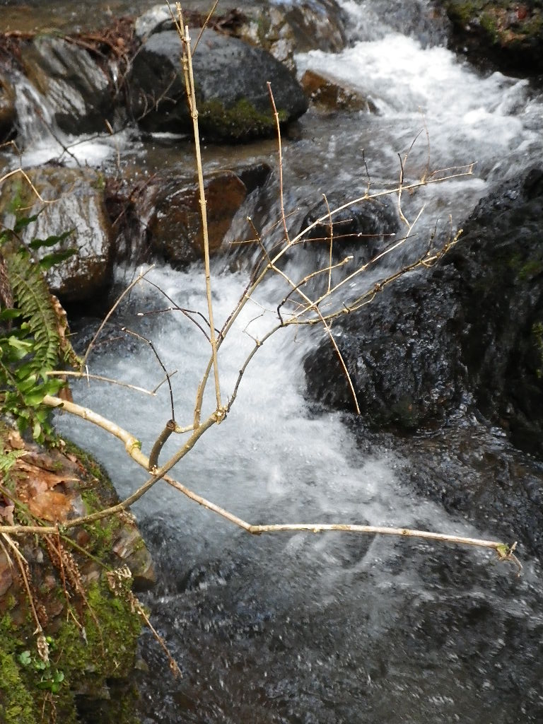 c0189724_18552568.jpg