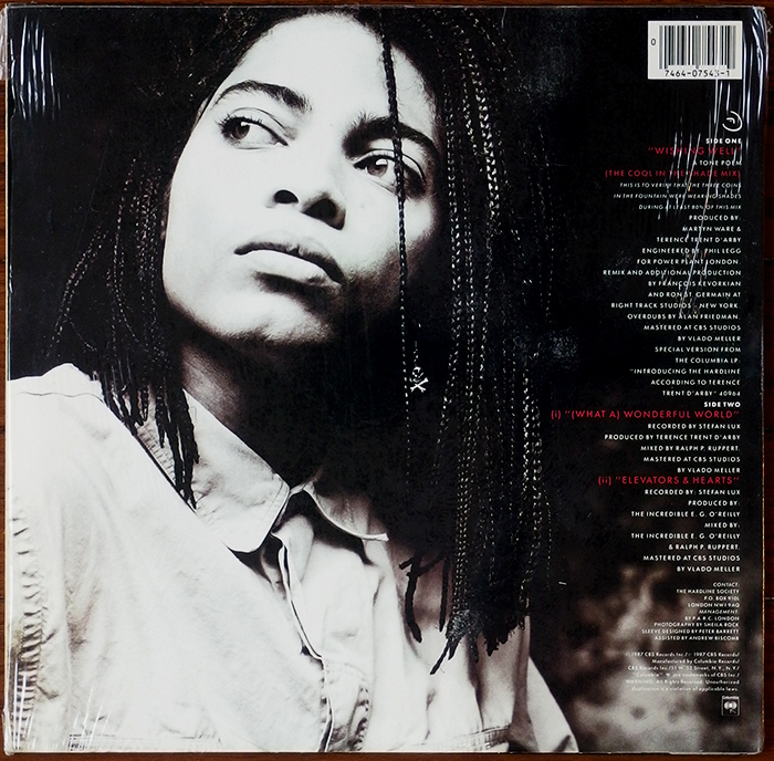 41)『Symphony Or Damn/Terence Trent D'Arby's』(1993年) : 100