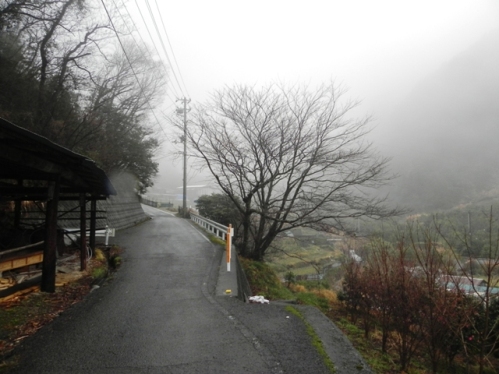 春雨?の坂本屋 千客万来_f0213825_14135022.jpg