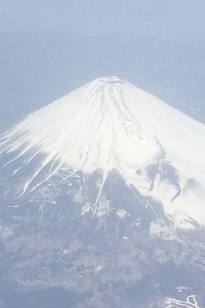 c0024729_14470551.jpg