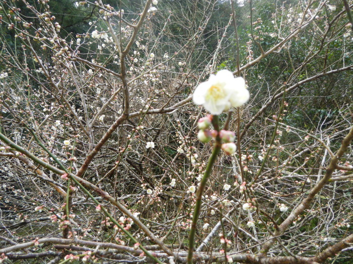 a0248230_19060117.jpg