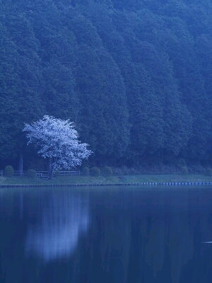 父との会話_f0343531_22273179.jpg