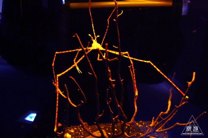 c0211532_0182574.jpg