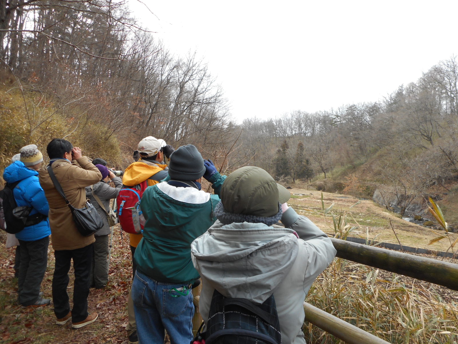 野鳥観察会_f0161535_22523689.jpg