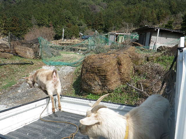 日曜日＋上天気＝♪♪_c0183137_1903791.jpg