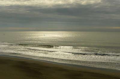 c0019338_2218549.jpg